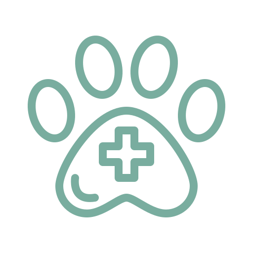 Pet Hospital Icon