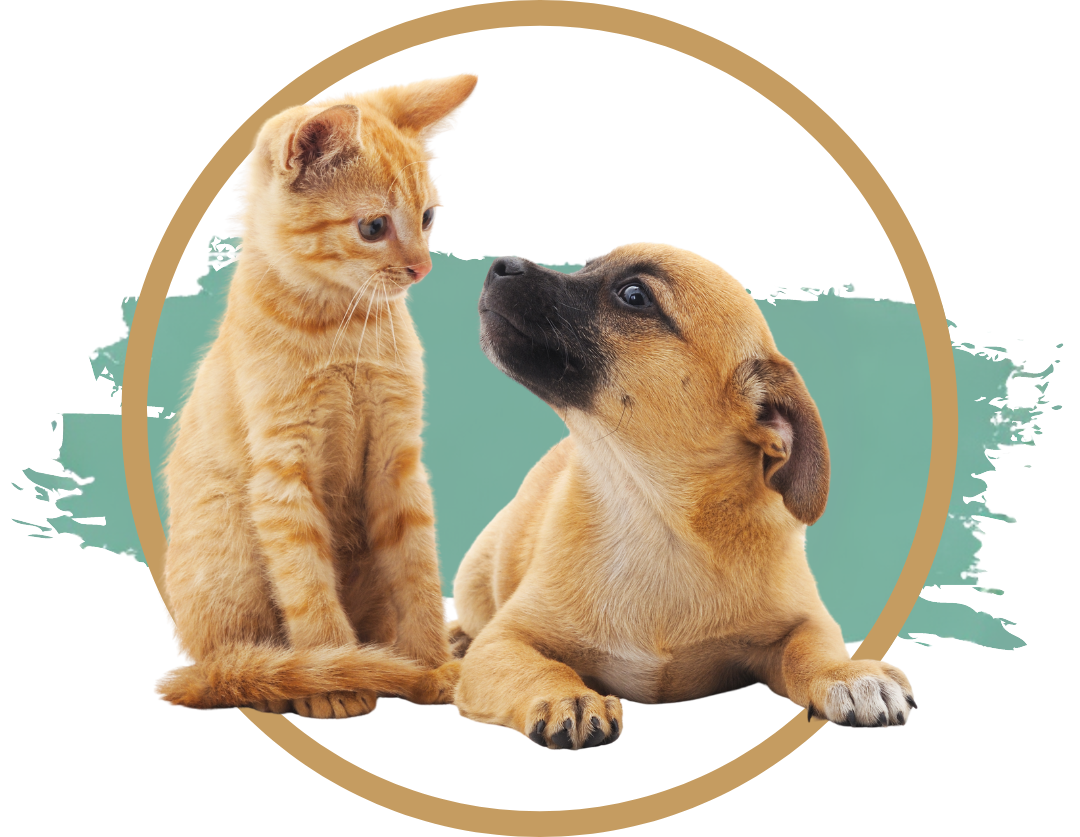 Emergency Visits Header Image