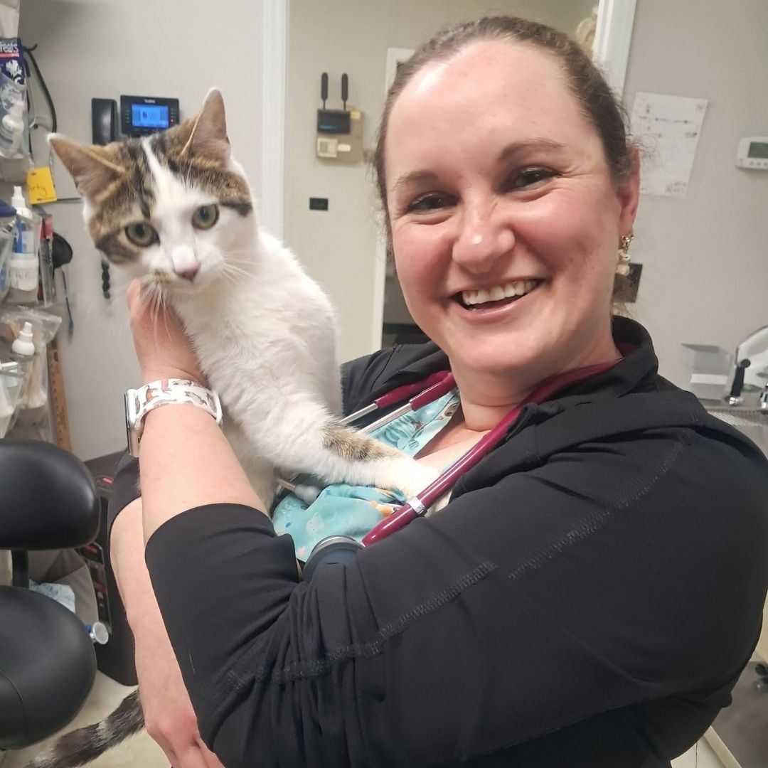 a vet staff embraces a cat in her arms